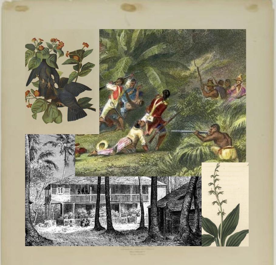 Caribbean Studies, Adrian Leon, Collage digital, 2023 - Archivo del sello 